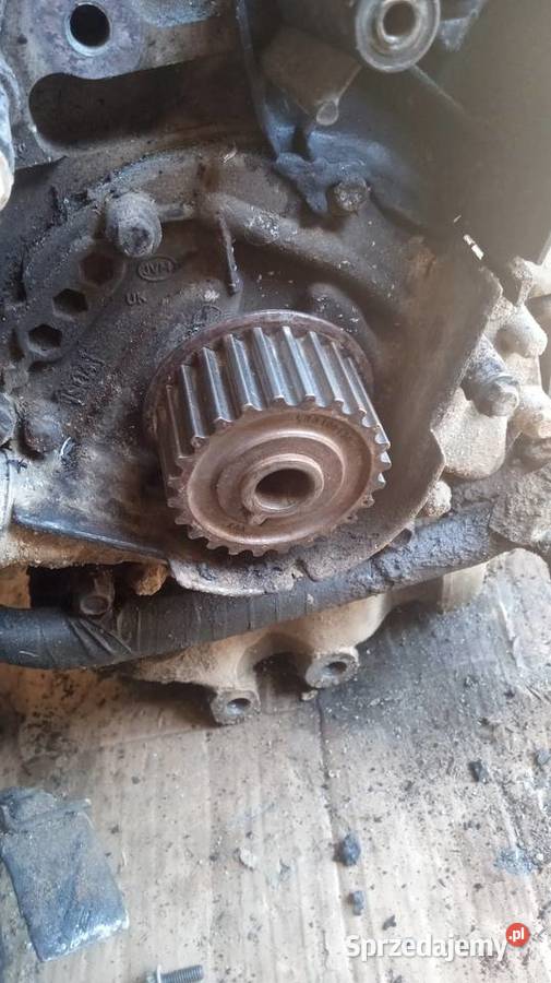 Koło rozrządu land Rover Freelander 18 benzyna Nowy Sącz