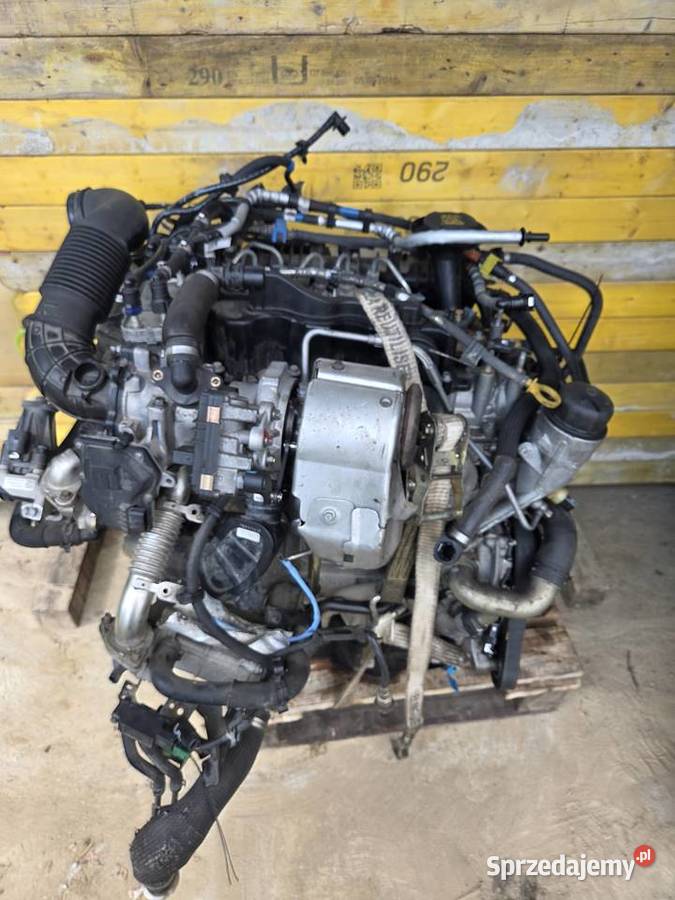 Silnik 20 dtd 204dtd 180 kompletny evoque 1000cm3 Brzesko