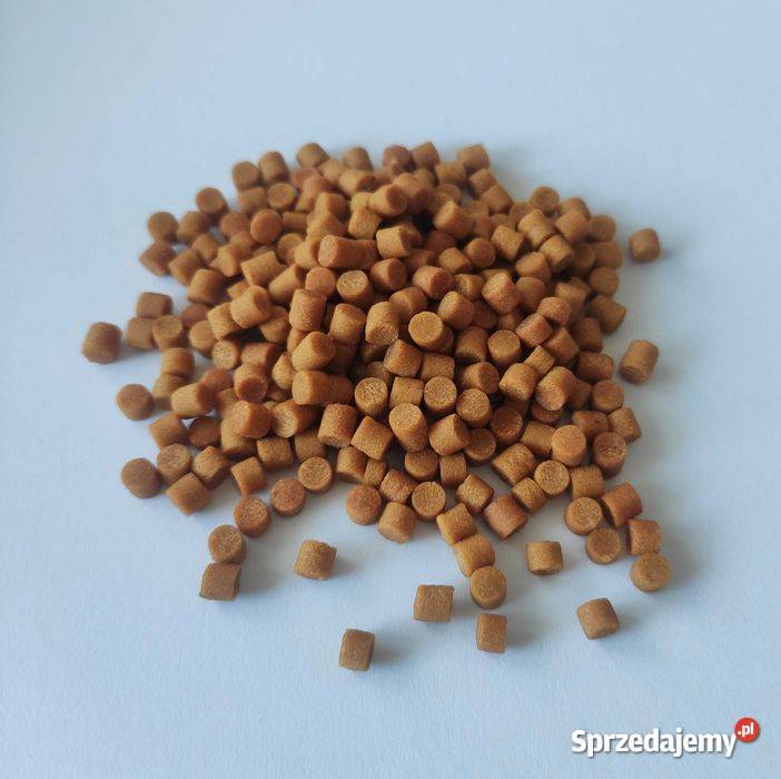 Maszyna do produkcji pelletu wędkarskiego