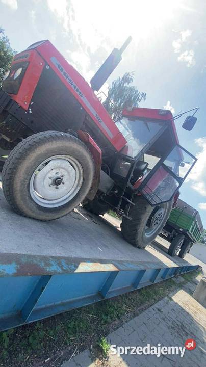Ursus 1212 6 cylindrów Chełm