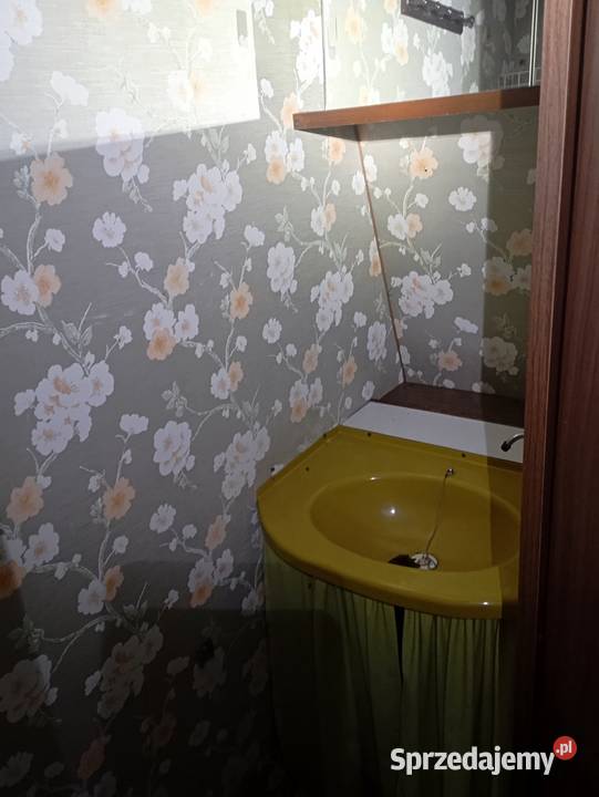 Przyczepa kempingowa na działkę Filipów sprzedam