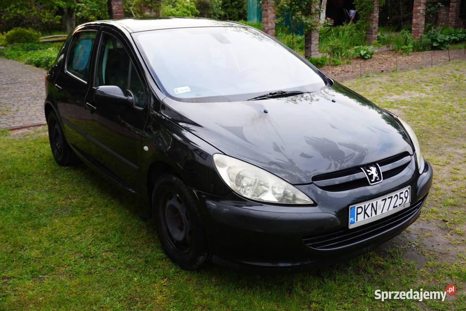 Peugeot 307 Mistral 2003 r 16 16V Benzyna 109 5 Rok produkcji 2003