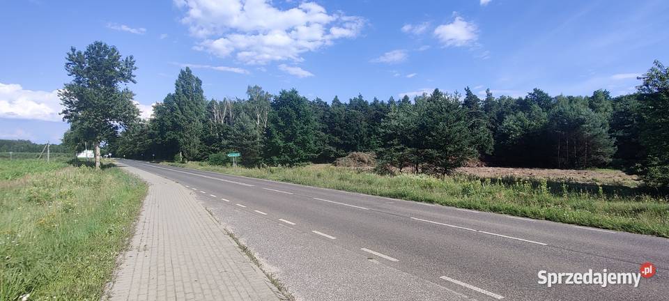 Urokliwa działka budowlana 800 m w otulinie lasu Warszawa