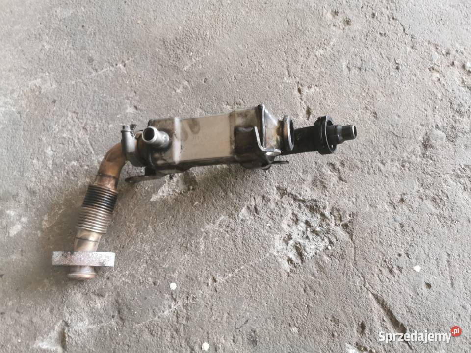 BMW E46 Chłodnica SPALIN egr 778979001 lubuskie Gorzów Wielkopolski