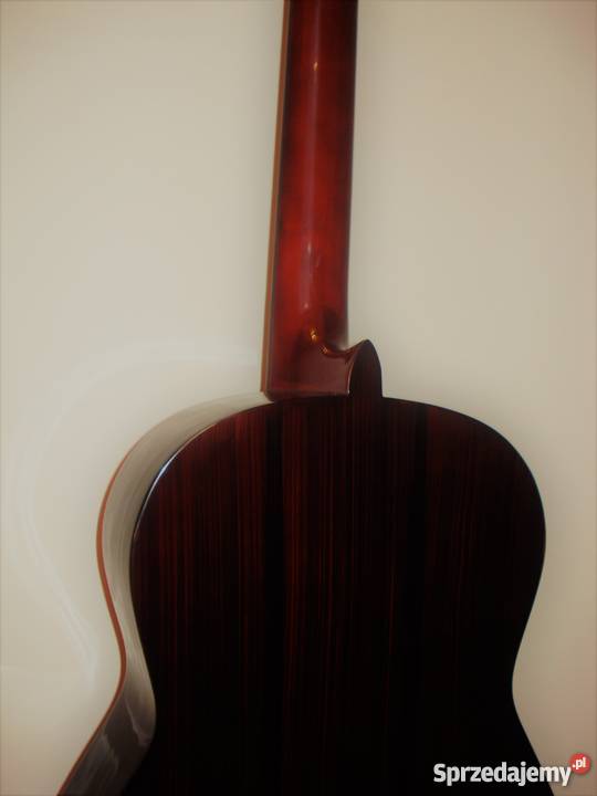 Gitara Klasyczna PAOLA praworęczna pomorskie Wicko