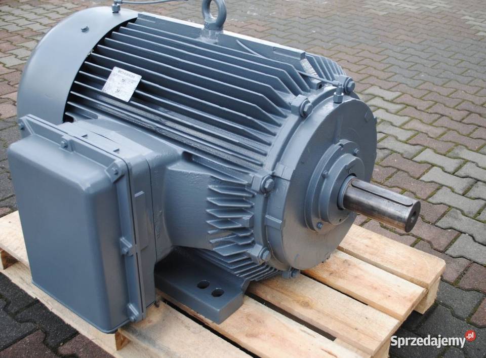 Silnik elektryczny 160kw 1488obrmin Schorch Kargowa