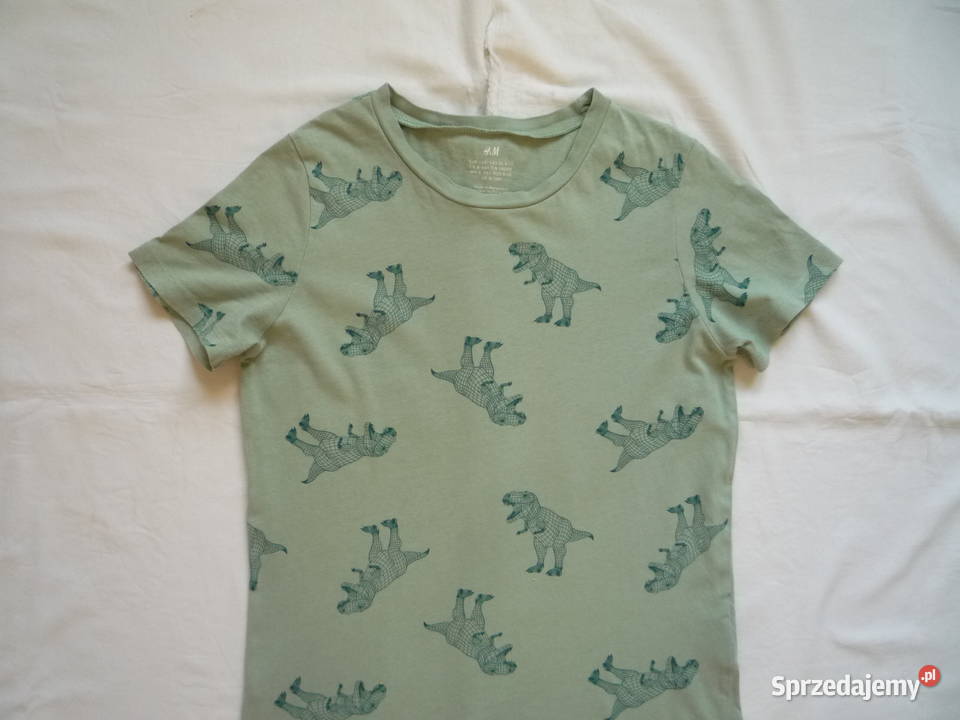 HM 134 Khaki koszulka dinozaury Szczecin
