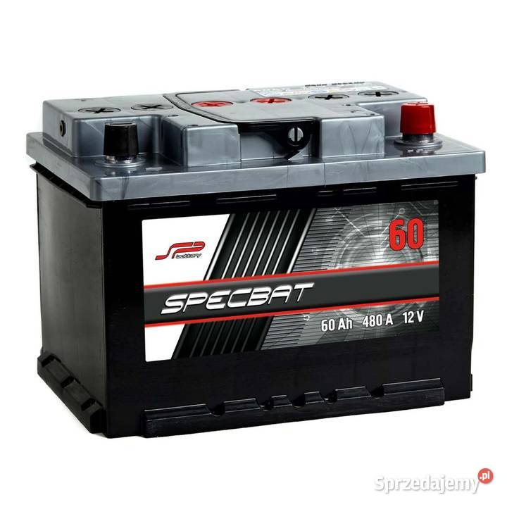 Akumulator SPECBAT 60Ah 480A EN PRAWY PLUS niski sprzedam