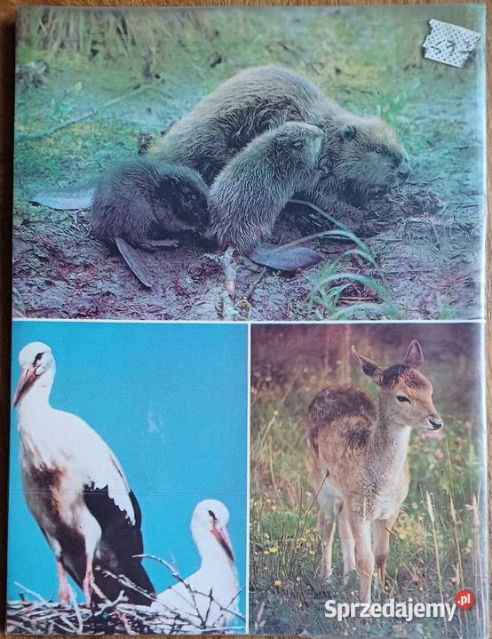 Chrzanowskie osobliwości przyrodnicze Mapy i przewodniki Kraków sprzedam