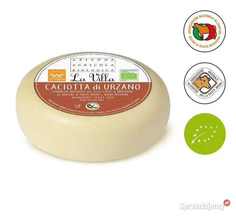 Organiczny Caciotta di Urzano to miękki ser Świdnica