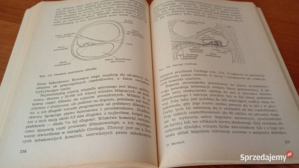 Fizjologia kręgowców P T Marshall G M Hughes biologia Gdańsk