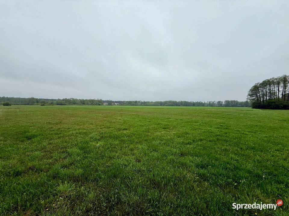 Młyny Piekarskie gmDobradziałka rolna na sprzedam