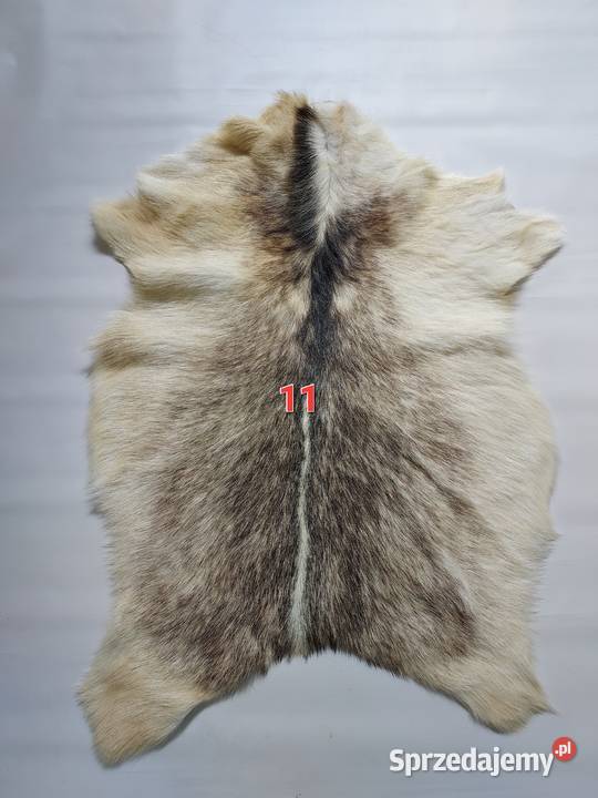 Skóry z Kóz Naturalne Skóry Dekoracyjne Skóra Szaflary