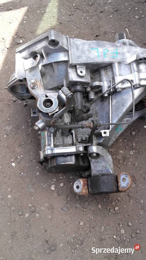 Skrzynia biegów Volkswagen Vw T5 19TDI FJL Skrzynie biegów manualne Gniewkowo