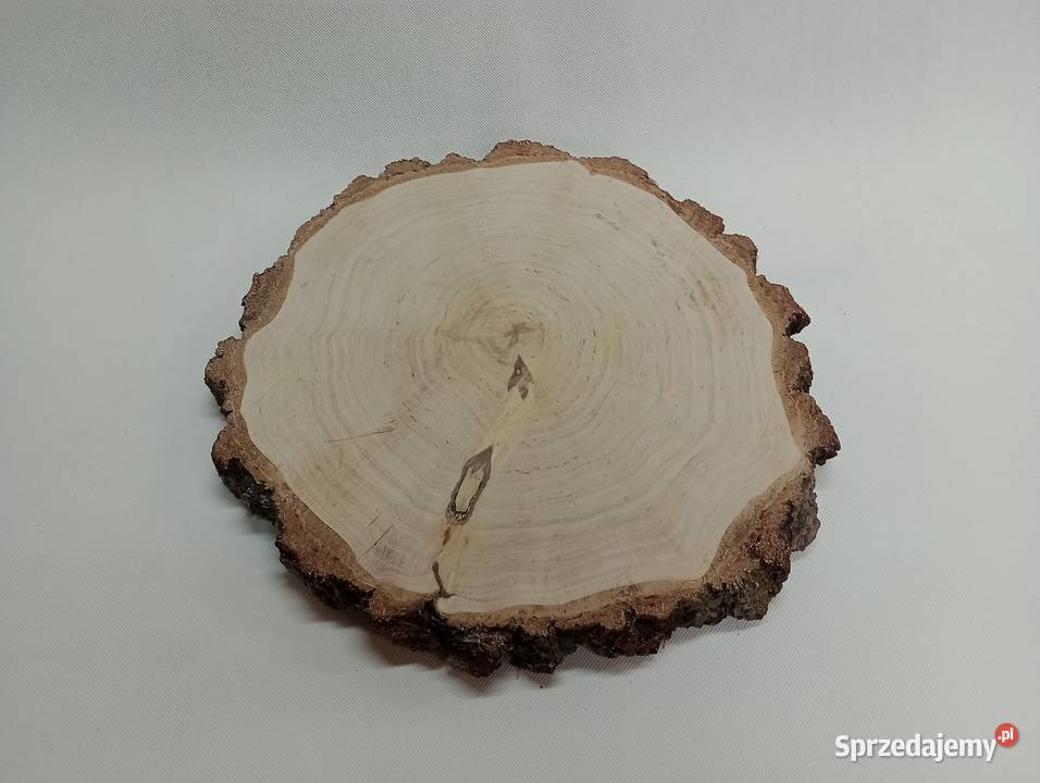 PLASTRY BRZOZOWE 3040 KRĄŻKI BROZOZWE PLASTRY Żagań sprzedam