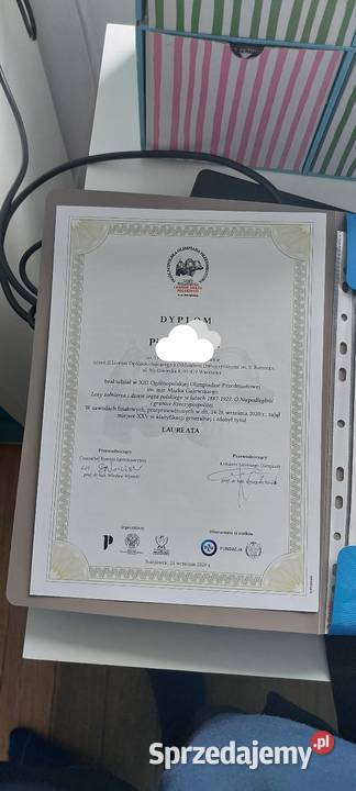 Multilaureat dziele korepetycje mazowieckie Warszawa