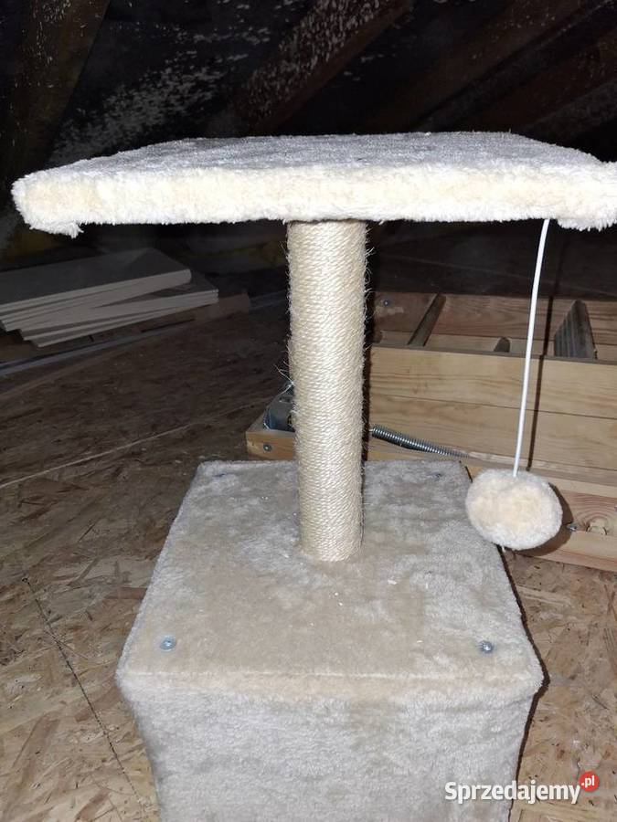 Drapaki kuweta kota Wieruszów sprzedam