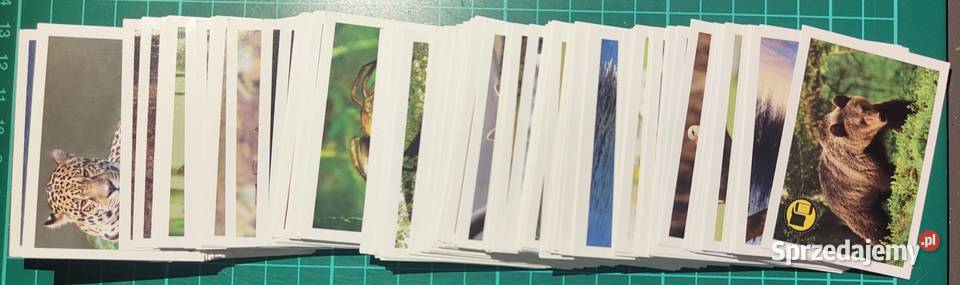 Zwierzęta świata Naklejki do albumu ELeclerc Warszawa sprzedam