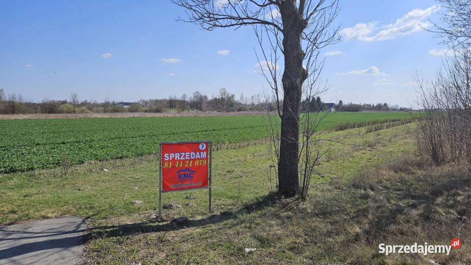 Kock 76 ar produkcja składy magazyny i mieszk
