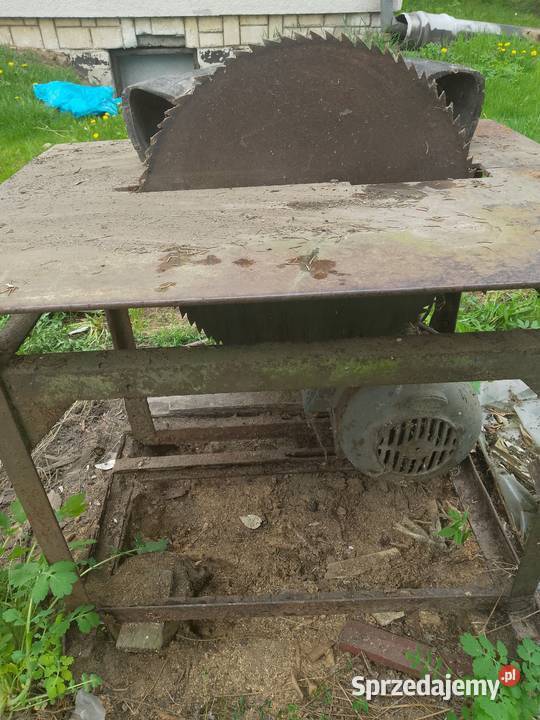 piła stołowa krajzega małopolskie Słaboszów