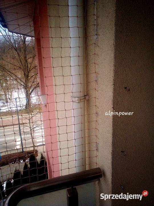 Siatki zabezpieczające balkon kota Montaż Bez Warszawa usługa dla zwierząt