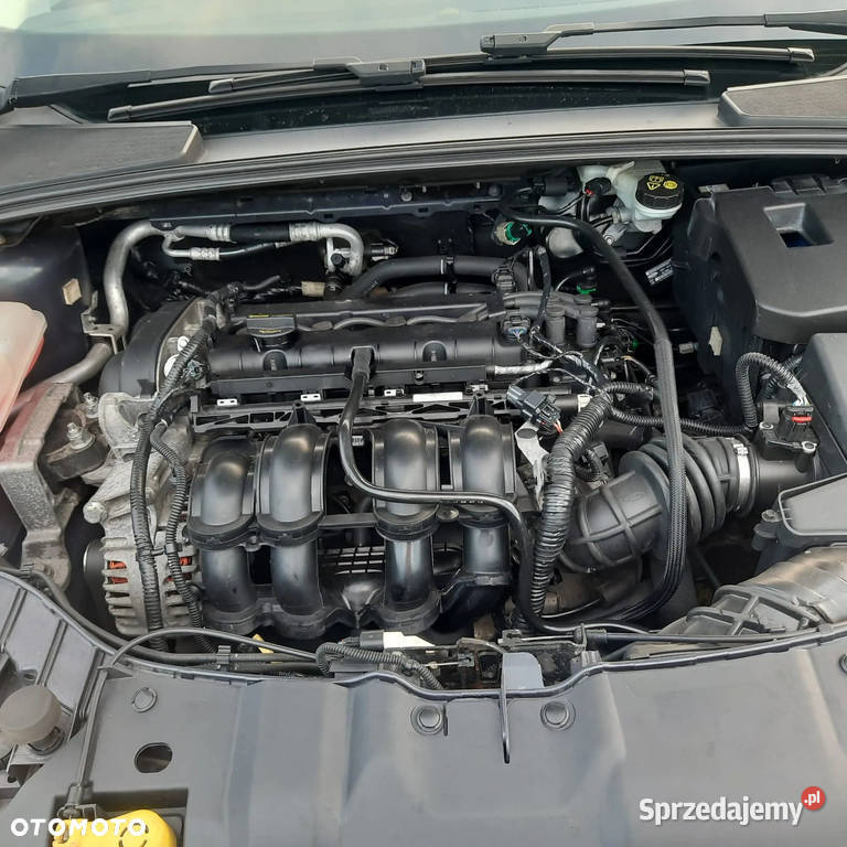 Ford FOCUS 2011r 16 Benzyna 170000 lubelskie