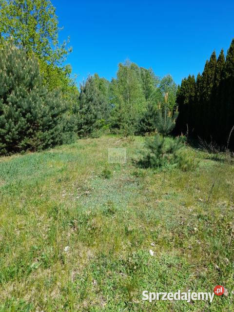 sprzedaży gruntu Czarnów Piaskowa 2200m2 budowlana