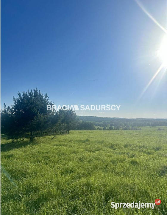 sprzedaży gruntu Rokitno Szlacheckie 6008m2