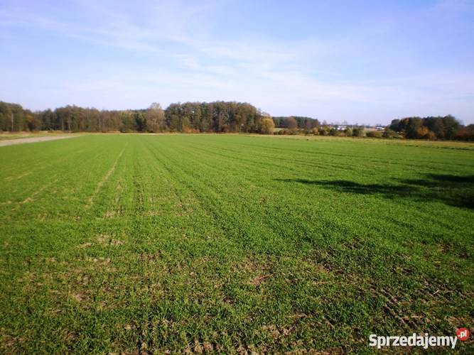 Sprzedam działkę mazowieckie Suchożebry sprzedam