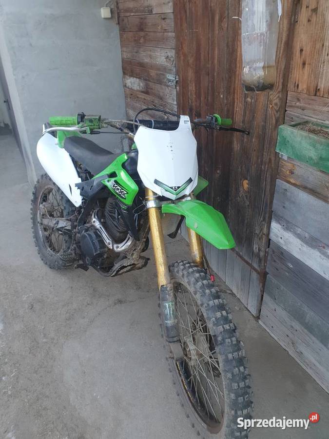 Diabolini xb 31 250 Kozłów