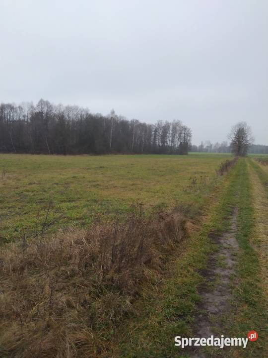 Ziemia rolna Siedlisko Działka 326 ha Sprzedaż Szostaki