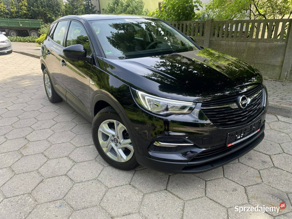Opel Grandland X Opel Grandland X Opłacony Mały asystent pasa ruchu Gostyń