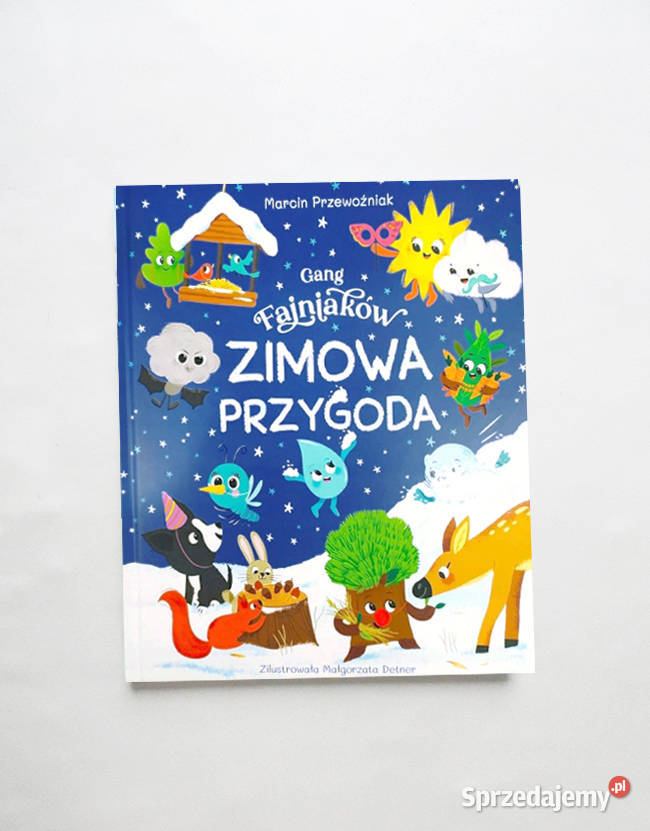 gang fajniaków książka zimowa pzrygoda ksiązka Szczecin sprzedam