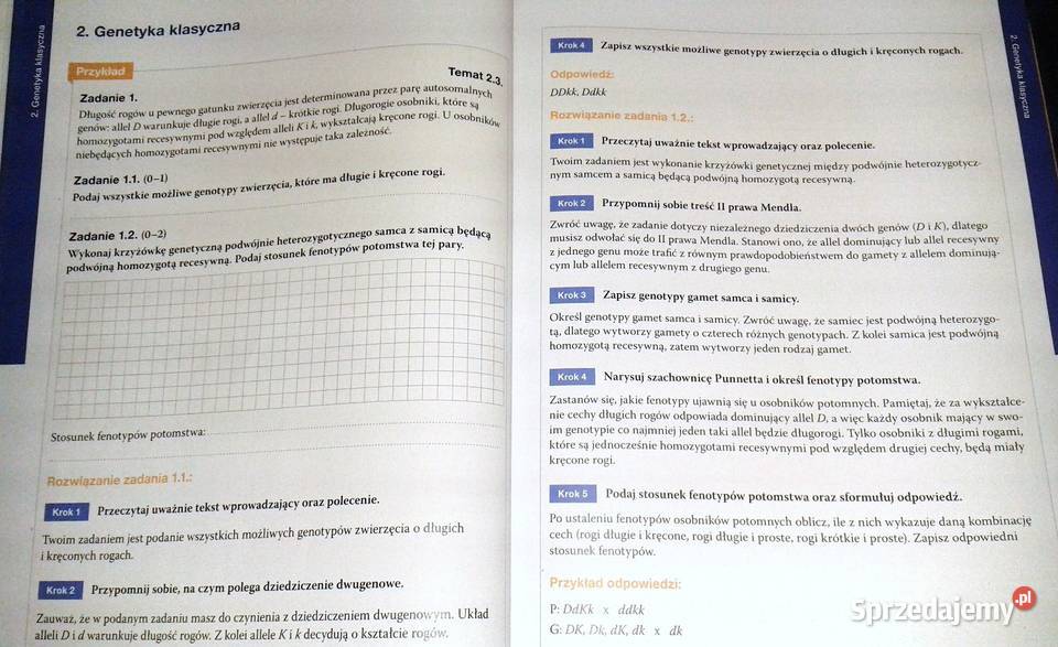 Biologia na czasie 4 Maturalne karty pracy B miękka Chełm