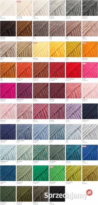 Czapki ze 100 wełny duzo kolorów Nakrycia głowy sprzedam