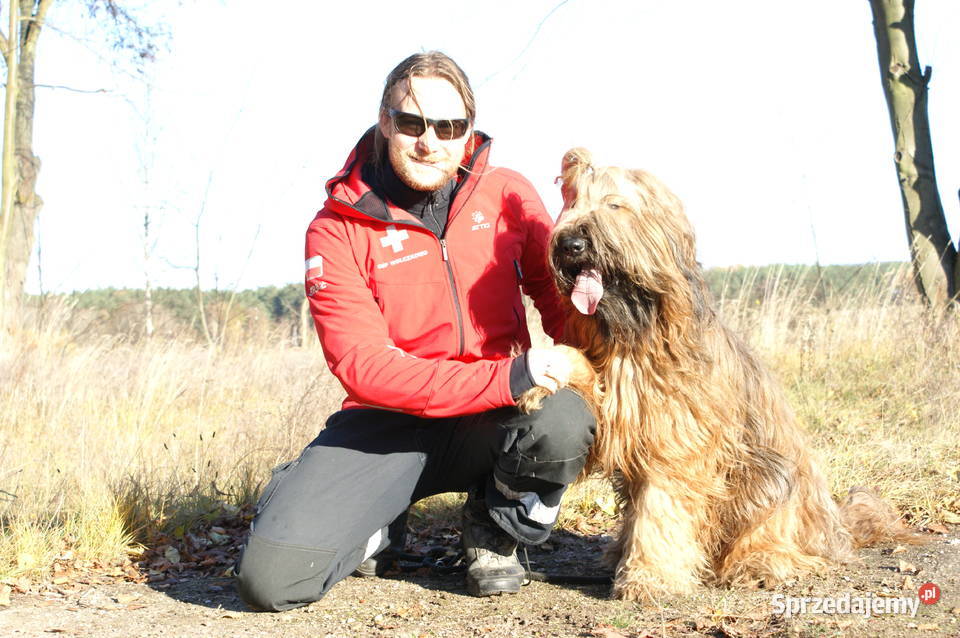 Psi Behawiorysta KotówZoopsycholog Warszawa