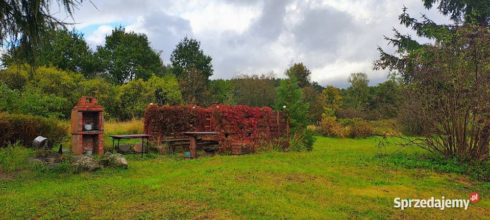 Duża dom z potencjałem Bukówko