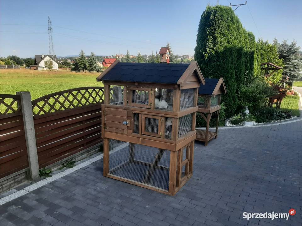 Buda kota z wolierą Jordanów