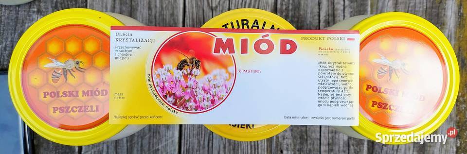 MIÓD KRAJOWY PRODUKT POLSKI RZEPAKOWY MNISZEK kujawsko-pomorskie Inowrocław