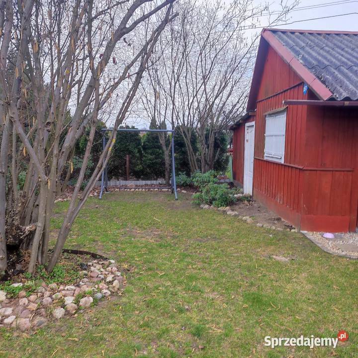 Działka ROD rekreacyjna sprzedam