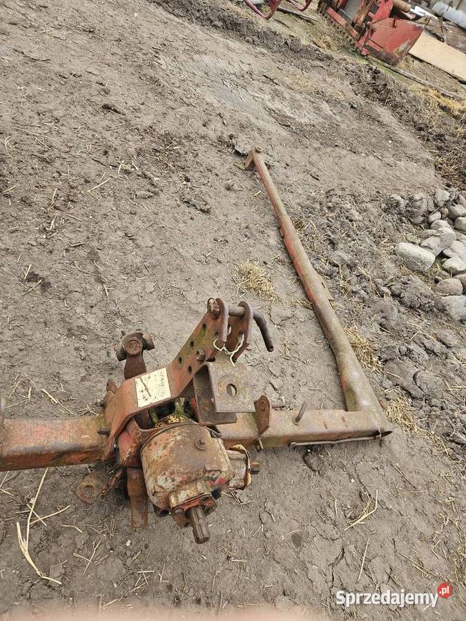 Sprzedam orkan Krzewata