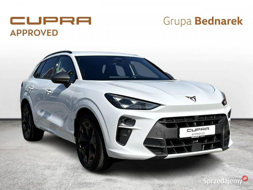 Cupra Terramar Bezwypadkowy Salon Polska Serwis łódzkie Łódź