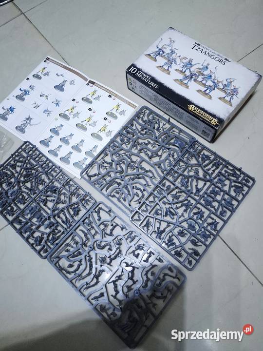 Warhammer Tzaangors Tzeentch Arcanites Age of Kraków