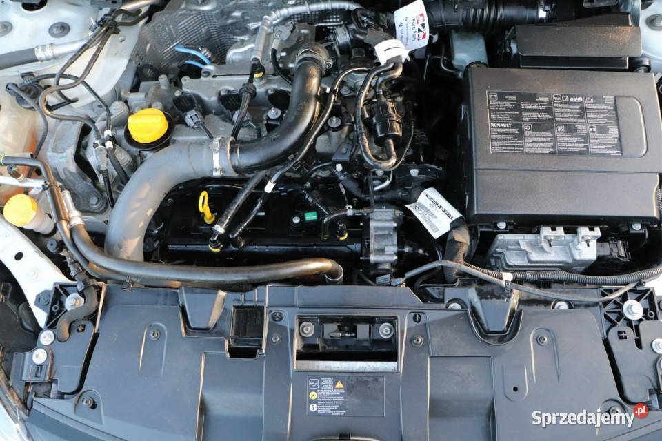 Renault Megane Opole