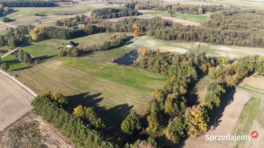 Działka 3100m Ostrowite