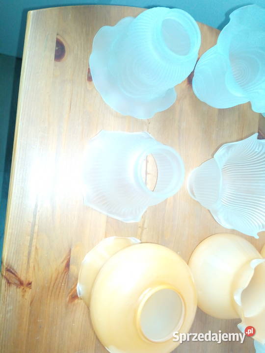 Klosz szklany do żyrandola Wrocław