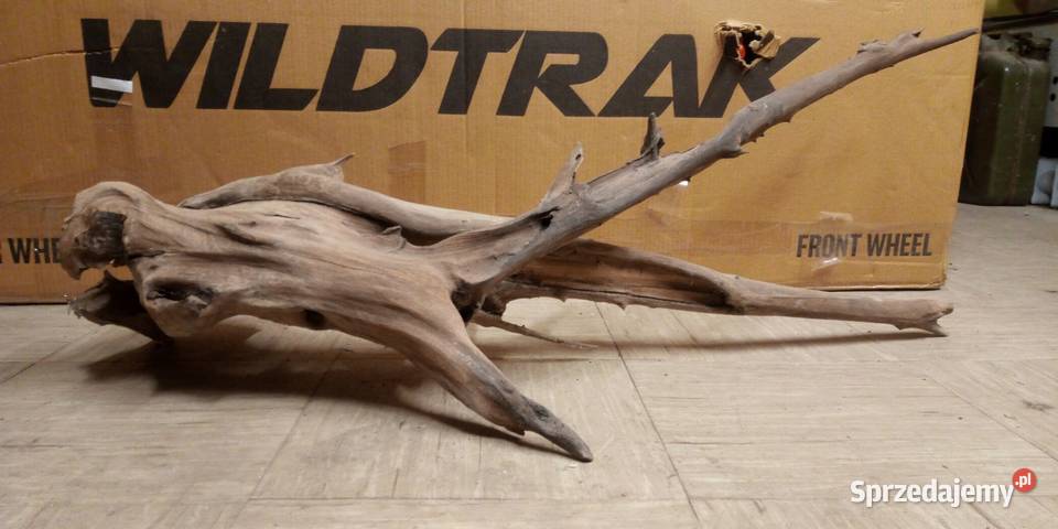 Duży korzeń do akwarium 100x50x56 centymetrów Lublin