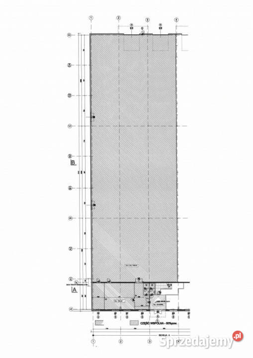 Hala usługowo magazynowa biura WYNAJEM KRAKÓW Kraków sprzedam