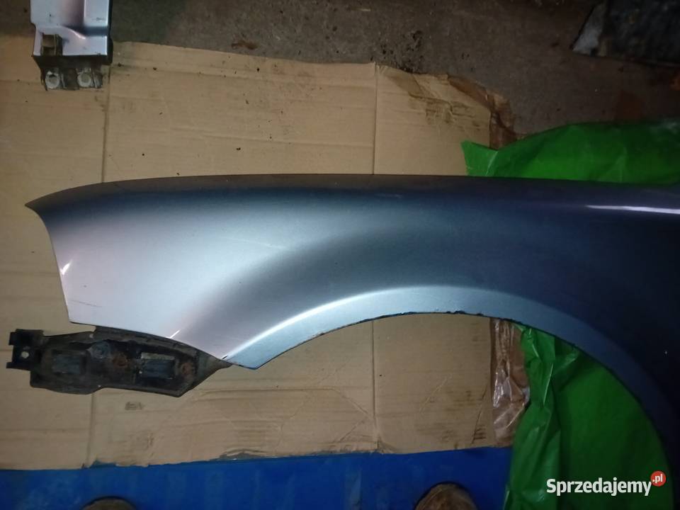 Błotniki passat b5 fl Rok produkcji 2001 Ruszów sprzedam