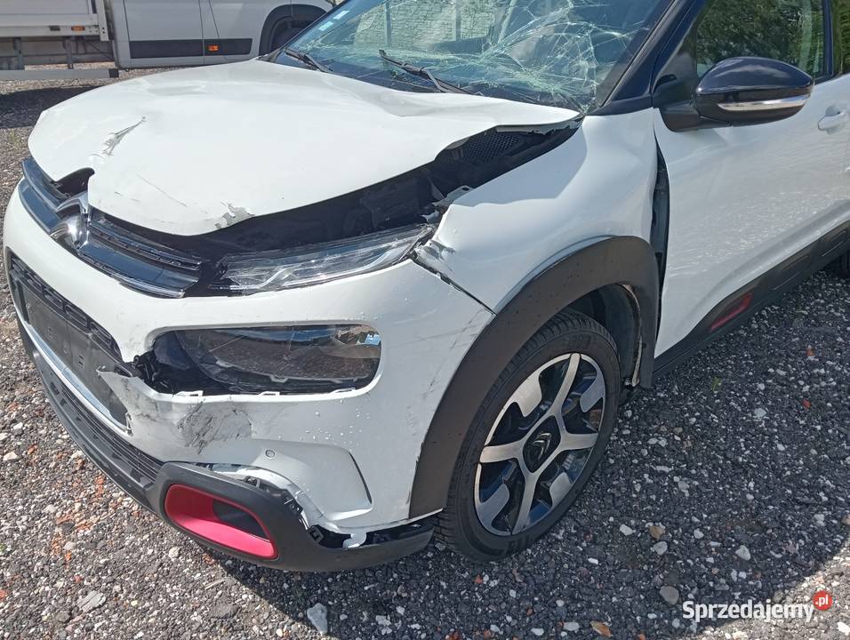 C4 cactus 12 automat wielkopolskie Margonin